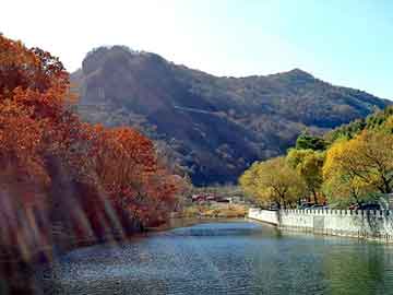 新澳天天彩免费资料大全查询，液氯流量计